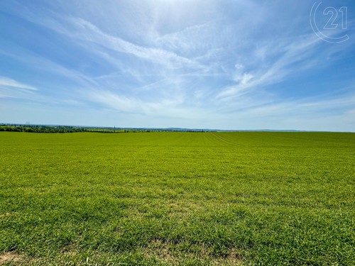 Prodaný dům 140 m², pozemek 4944 m²