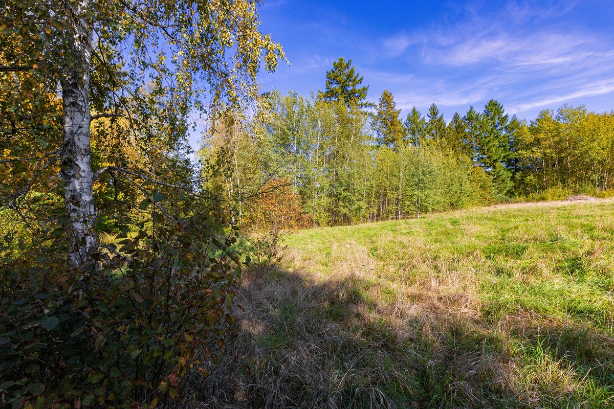 Prodej stavebního pozemku 2511 m²