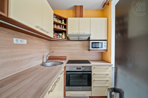 Prodaný byt 1+1 48 m²