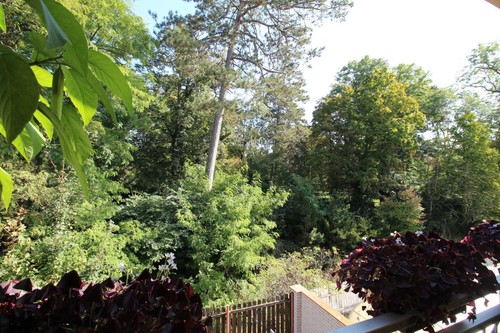 Prodaný byt 3+1 78 m²