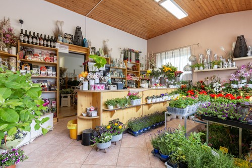 Prodaný dům 325 m², pozemek 848 m²