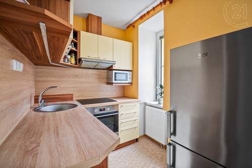 Prodaný byt 1+1 48 m²