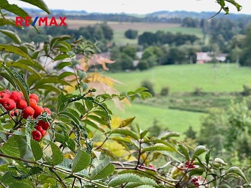 Prodaná  chata 34 m², pozemek 1049 m²
