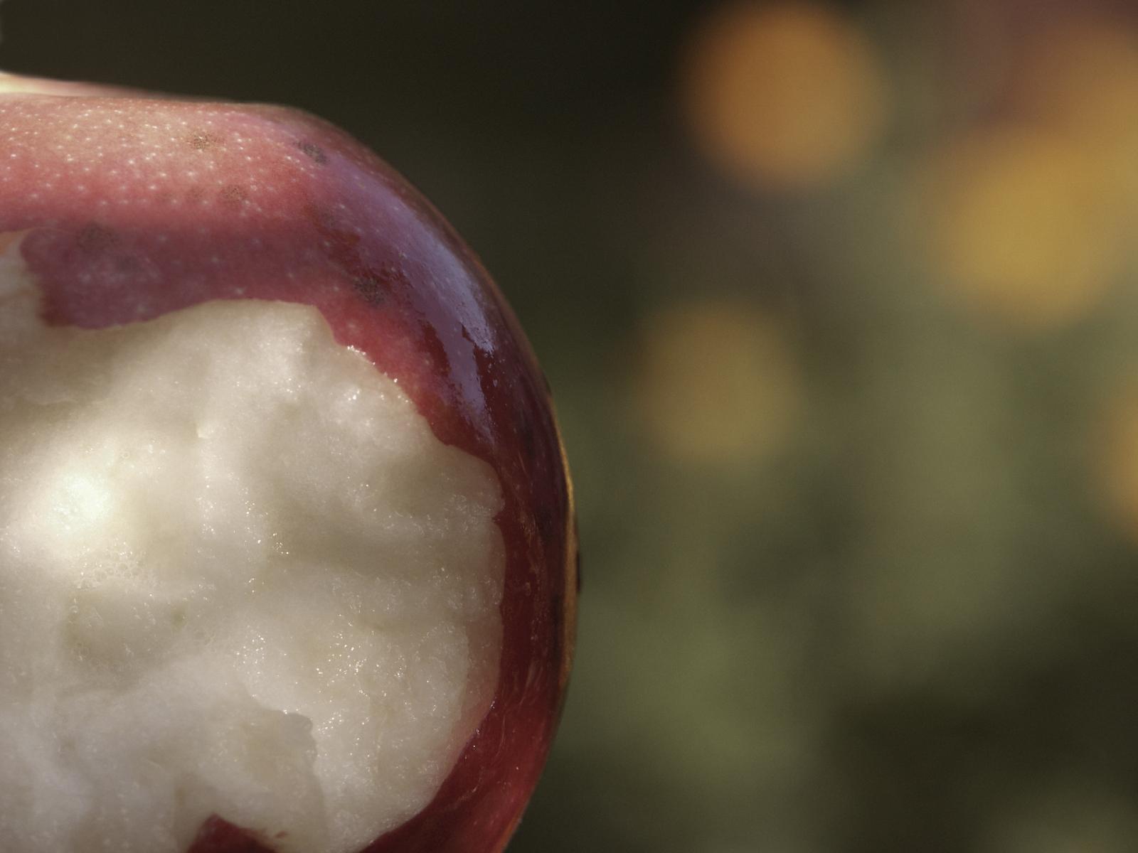 Assumptions, Circular Reasoning, and a Literal Adam and Eve