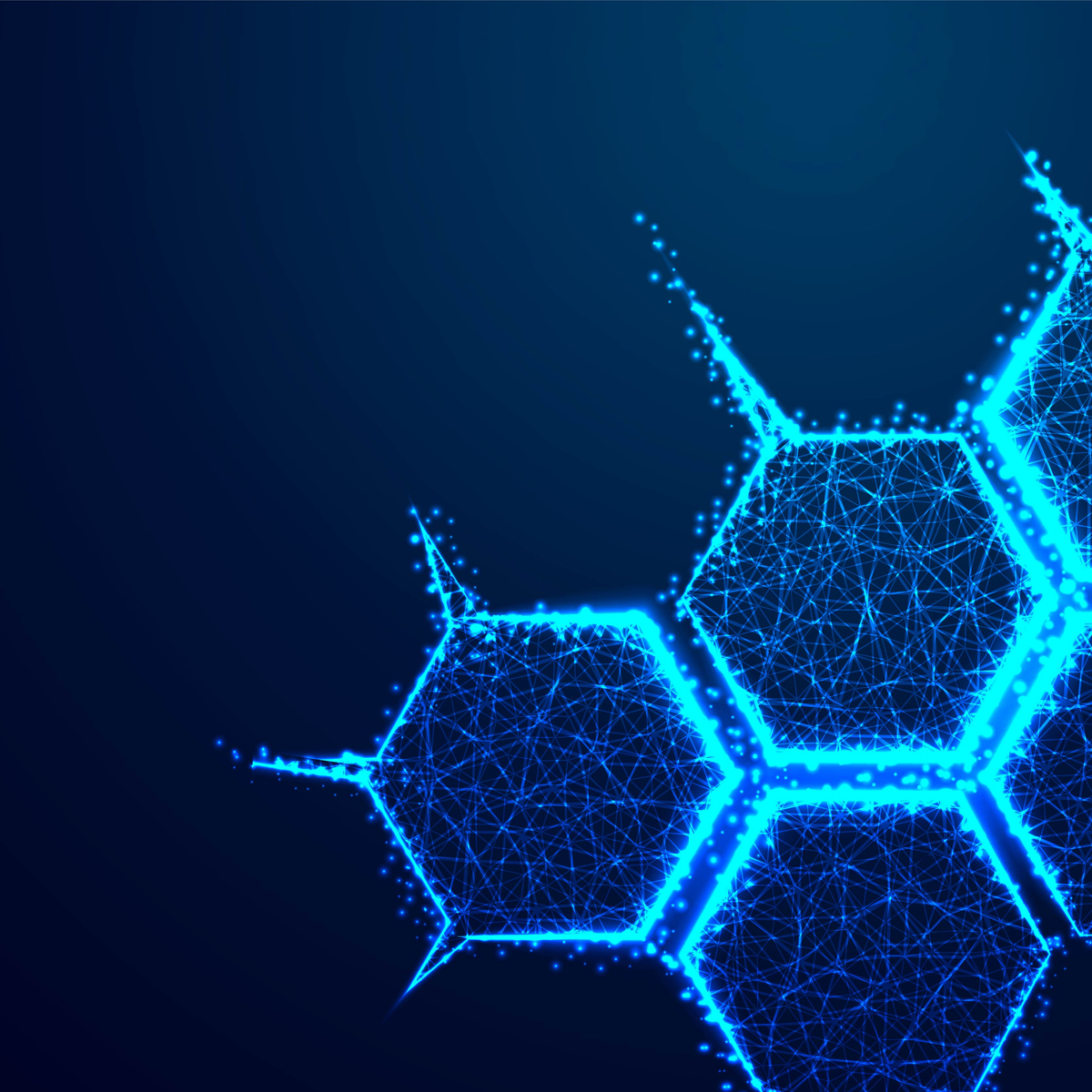Long Noncoding RNAs Extend the Case for Creation