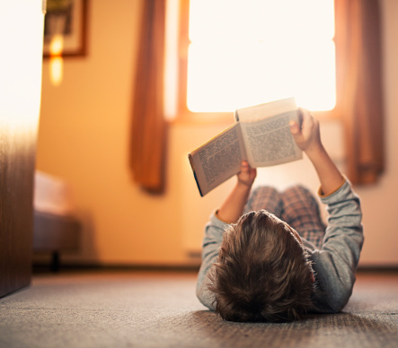 Take Up and Read: Here I Stand—A Life of Martin Luther