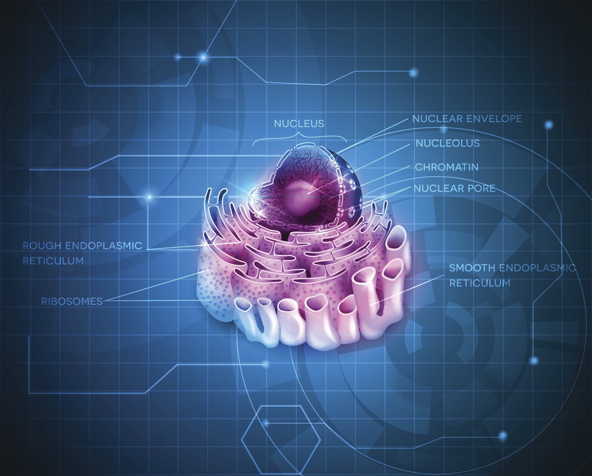 Ribosomes: Manufactured by Design, Part 1