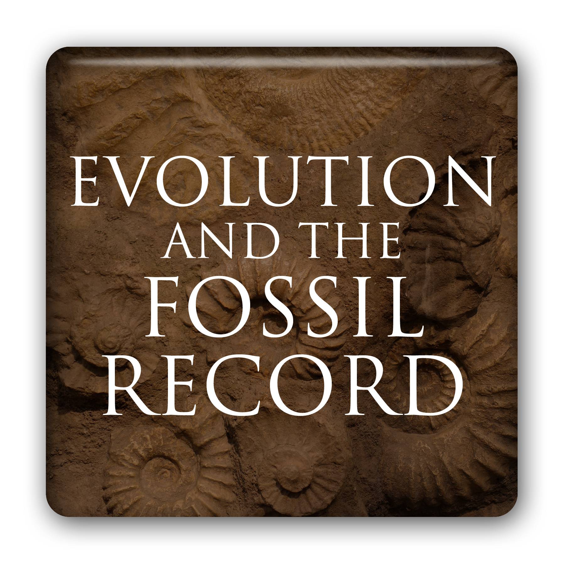 Evolution and the Fossil Record (Listen & Learn Course) Hugh Ross; Fazale Rana Image