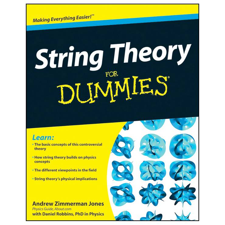 String Theory for Dummies (softcover) Image