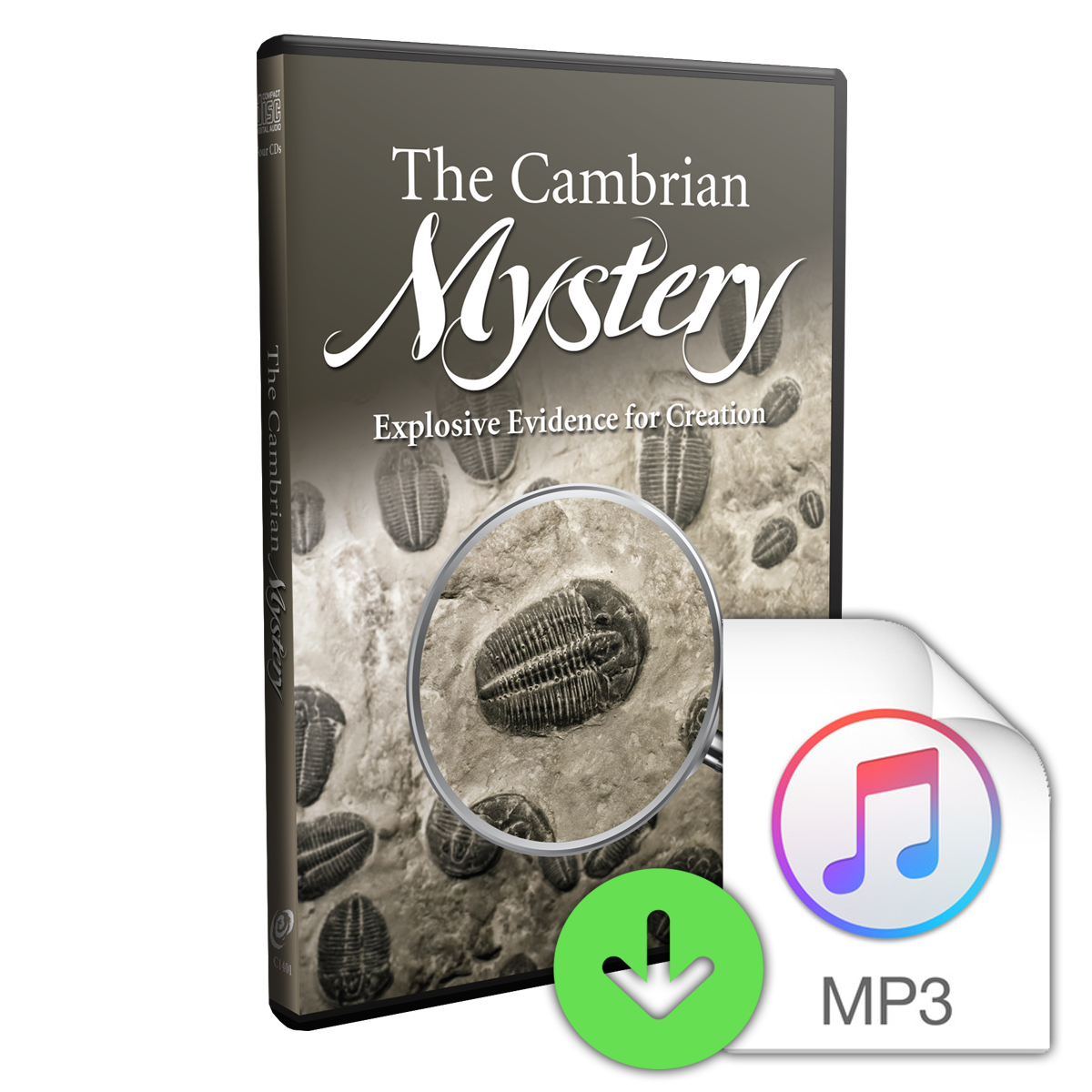 The Cambrian Mystery: Explosive Evidence for Creation (Downloadable MP3) Image