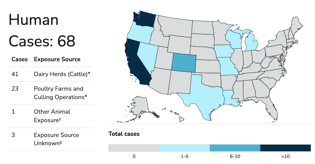 Case map