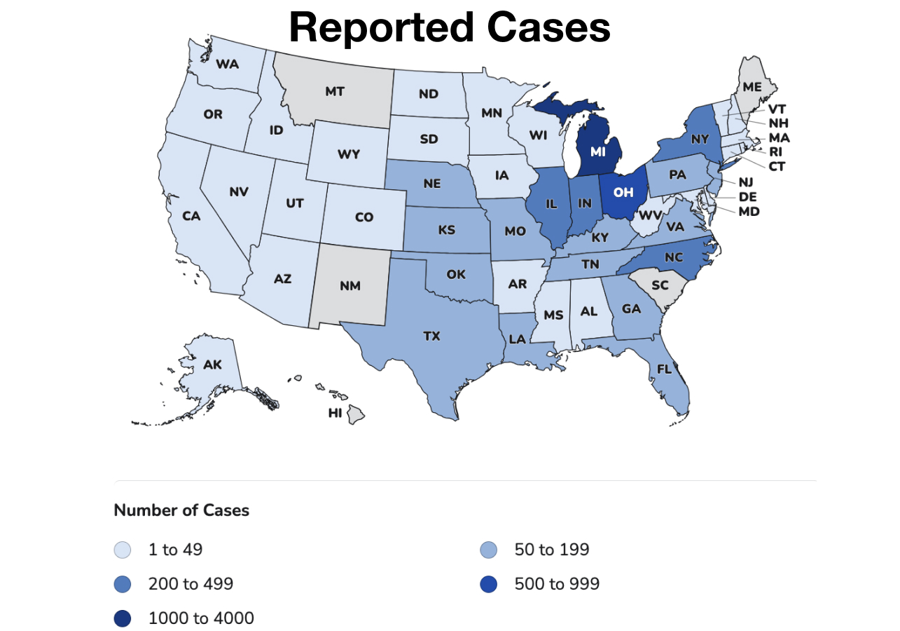 Case map