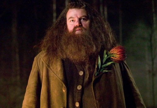 Hagrid