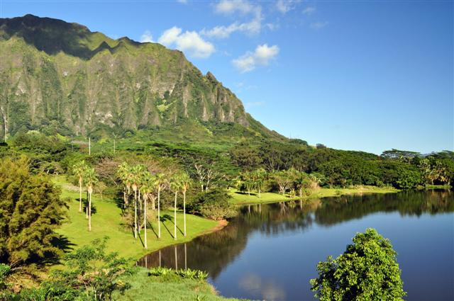 Botanical Garden - Wedding venue in Honolulu, HI