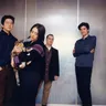 The Magnetic Fields