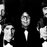 The Turtles