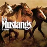 Los Mustang