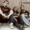 In Fluvius