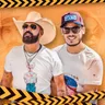 Os Brutos do Country