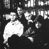 Coil
