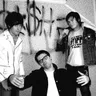 The Pink Spiders