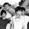 The Adolescents