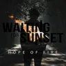 Waiting For Sunset