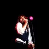 The Bob Seger System