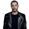 Wildstylez