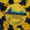 G.R.E.S. São Clemente (RJ)