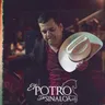 El Potro de Sinaloa