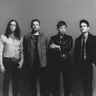 The King Leon