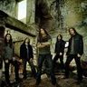 Shadows Fall