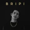 BriPi