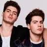 Gemeliers