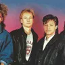 Mr. Mister