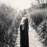 Becky Shaheen