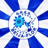 G.R.E.S. Beija-Flor de Nilópolis (RJ)