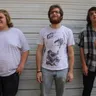 Young Buffalo