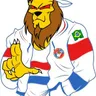 Leões da TUF