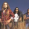 Jackyl