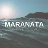 Coletânea de Hinos da Maranata