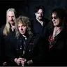 Y&T