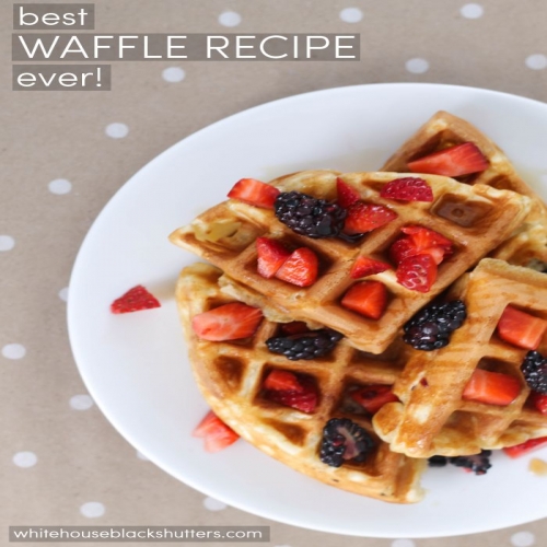 Best Waffle Recipe Ever