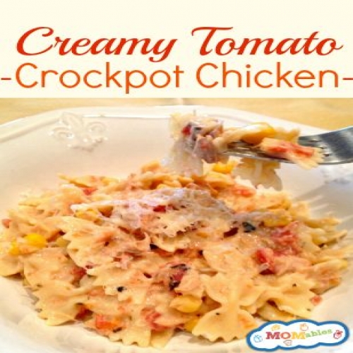 Fire Roasted Tomato Creamy Crock Pot Chicken