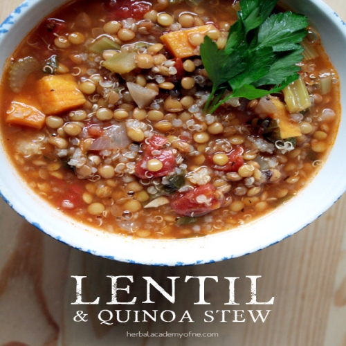 Hearty Lentil and Quinoa Stew