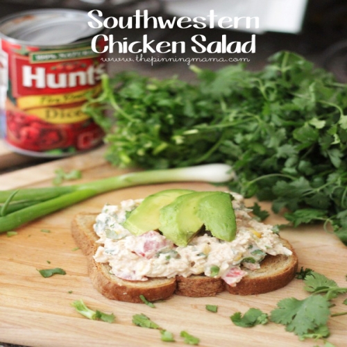 Easy Summer Recipes Southwestern Chicken Salad