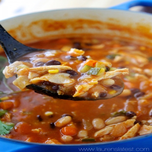 Easy and Healthy Zucchini Chicken Tortilla Soup