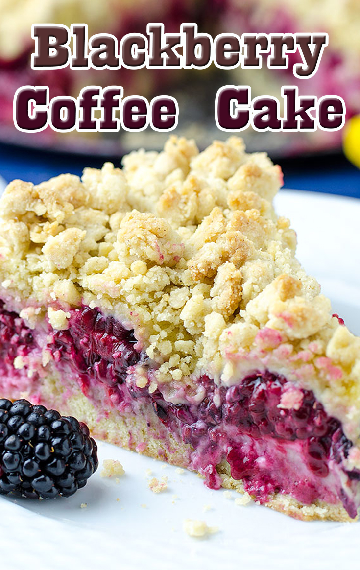 Blackberry Swirl Coffee Cake - A Latte Food