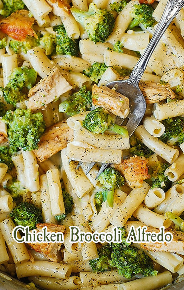 Chicken Broccoli Alfredo